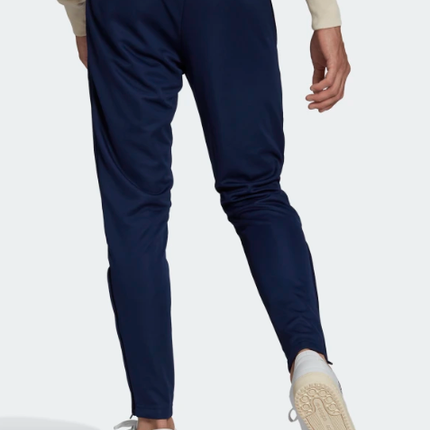 Adidas Entrada 22 Pant