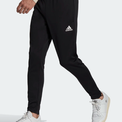 Adidas Entrada 22 Pant