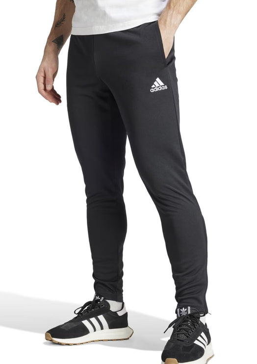 Adidas Entrada 22 Pant